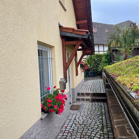 Ferienwohnung Muhlberg Seifersdorf  Luaran gambar