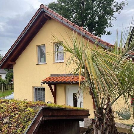 Ferienwohnung Muhlberg Seifersdorf  Luaran gambar