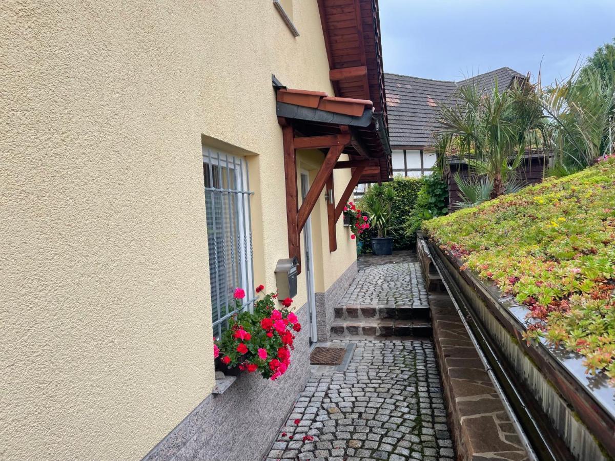 Ferienwohnung Muhlberg Seifersdorf  Luaran gambar